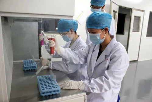 科技抗疫 安吉侨资企业东方基因研发出新冠病毒快速检测试剂盒